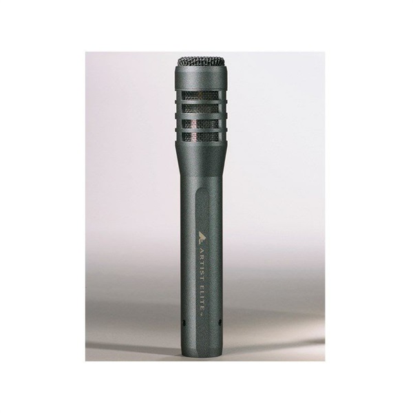 audio-technica AE5100 ｜イケベ楽器店オンラインストア