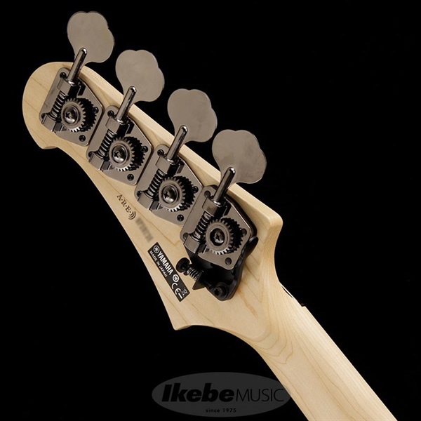 Billy sheehan『in Japan』非売品レアビデオ Billy sheehan『in Japan