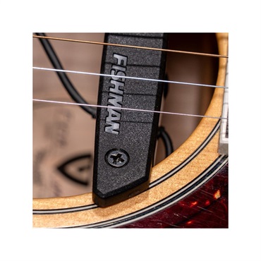 FISHMAN Rare Earth Humbucking フィッシュマン 画像3