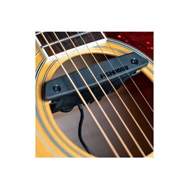 FISHMAN Rare Earth Humbucking フィッシュマン 画像4