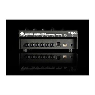 moog モーグ MINITAUR ミニタウ アナログ ベース シンセサイザー 画像6