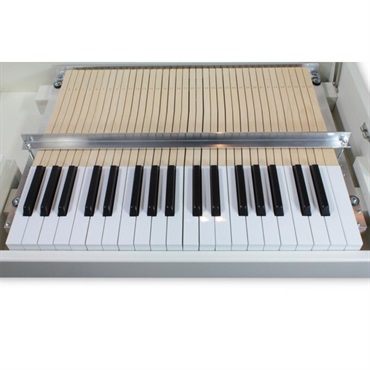 Mellotron Digital Mellotron M4000D 【台数限定・Tシャツ&サウンドカードプレゼント】【お取寄せ商品】【本家メロトロン社製・デジタル版Mellotron】 画像8