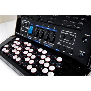 Roland 【台数限定・専用キャリングバッグ付！】FR-1Xb BK【カラー：ブラック】 ローランド Vアコーディオン 電子 クロマチックアコーディオン ボタン式 小型 画像2