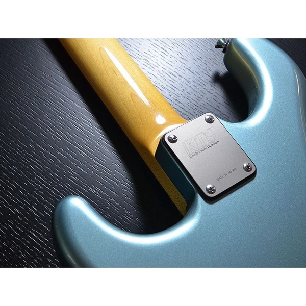 KTS Ti-Neck Plate 画像1