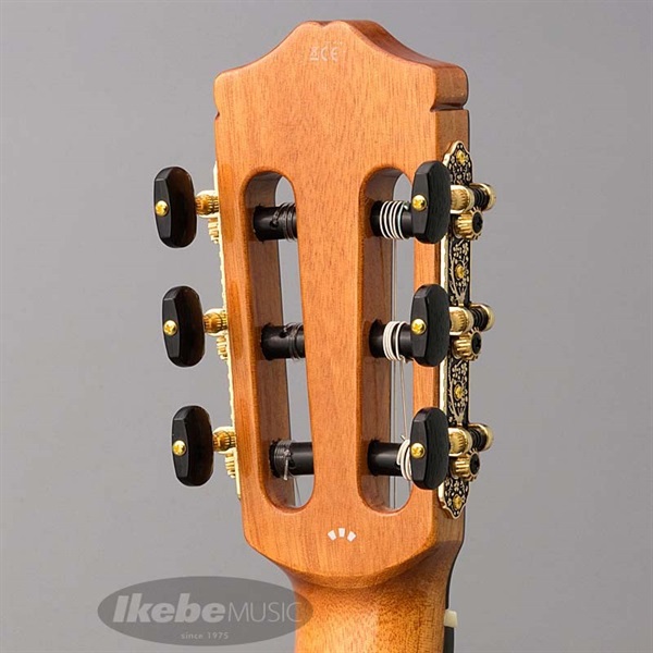 Cordoba SERIES Iberia GK Studio Negra 【エレガット】 |イケベ楽器店