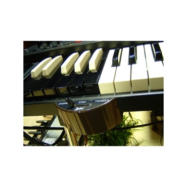 HAMMOND CU-1【ハーフムーンスイッチ】 画像2