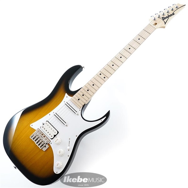 Ibanez AT100CL-SB 사진 2