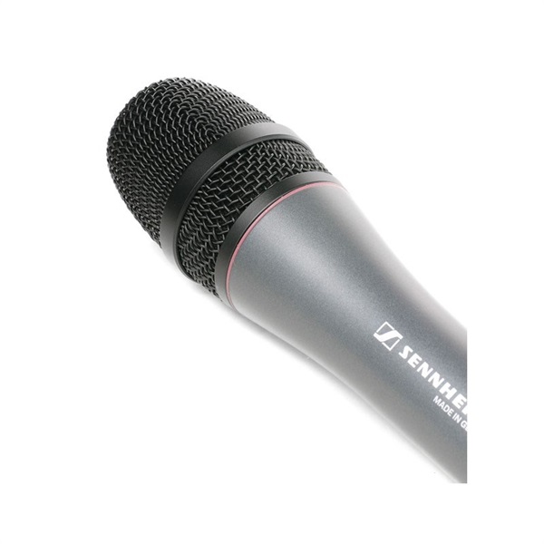 SENNHEISER e865 (国内正規品・2年間保証) 画像3