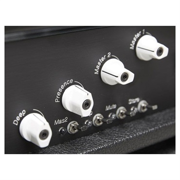 Diezel HAGEN [100W Head] 画像4