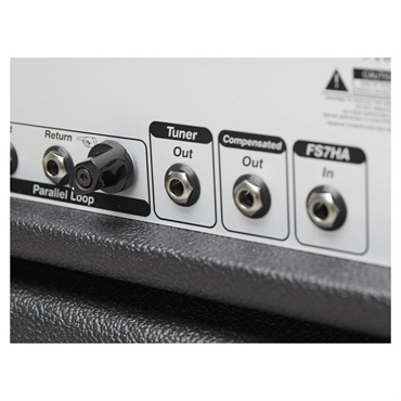 Diezel HAGEN [100W Head] 画像8