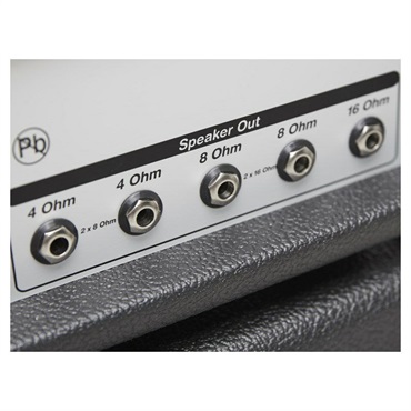 Diezel HAGEN [100W Head] 画像9