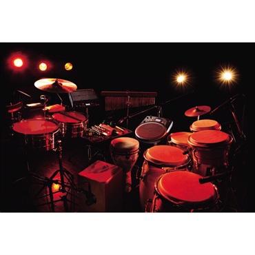 Roland HPD-20 [HandSonic] 画像5