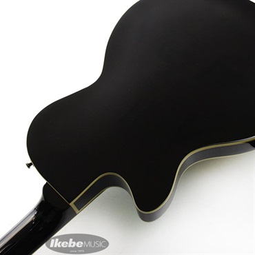 Duesenberg DTV-SG Starplayer TV (Surf-Green) 画像6