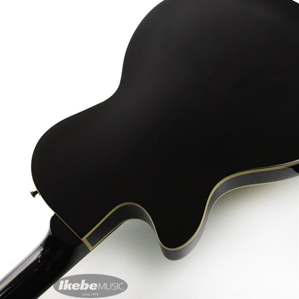 Duesenberg DTV-SG Starplayer TV (Surf-Green) 画像6