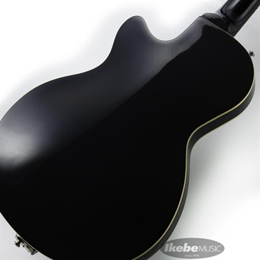 Duesenberg DTV-SG Starplayer TV (Surf-Green) 画像7