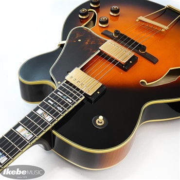 Ibanez AF200-BS 画像5