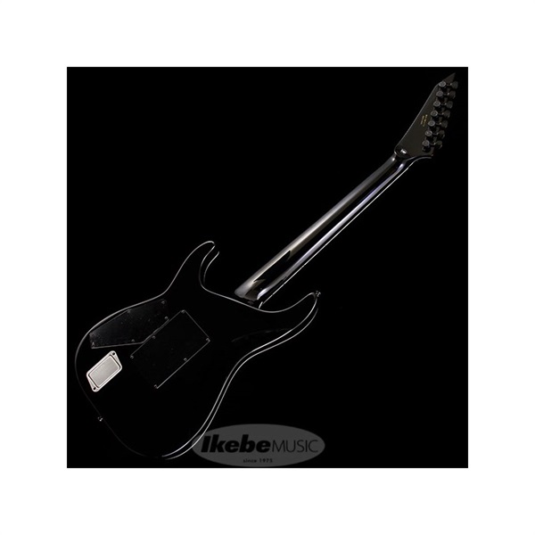 E-II HORIZON FR-7 (Black) 【受注生産品】 画像2