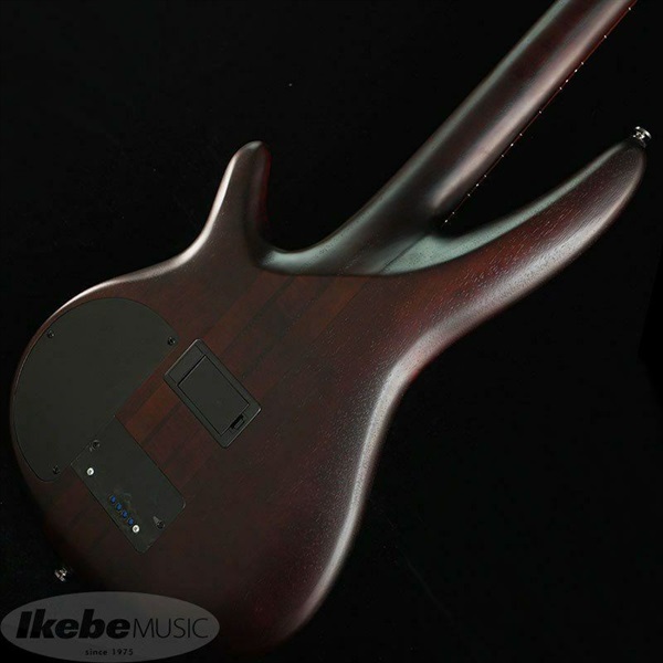 Ibanez Bass Workshop SRF700-BBF 【値上げ前旧価格品】 画像5