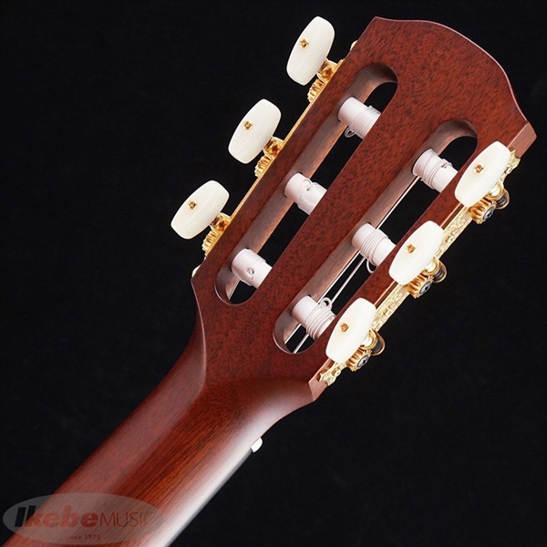 K.Yairi GF-7V (NS) Kヤイリ 画像7