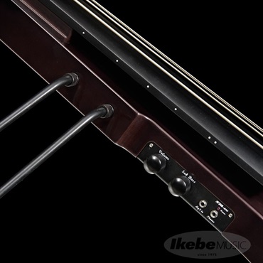 Hallstatt WBSE-1000 (TBK) [アップライトベース] 画像3