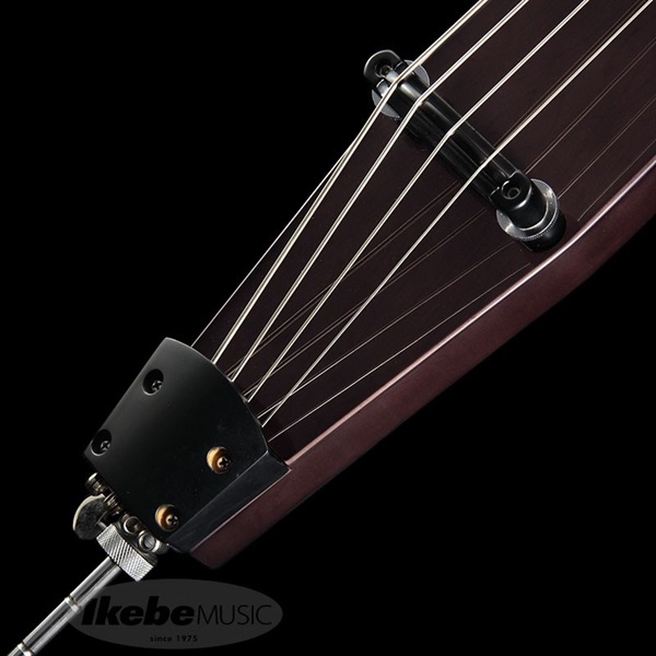 Hallstatt WBSE-1000 (TBK) [アップライトベース] 画像4