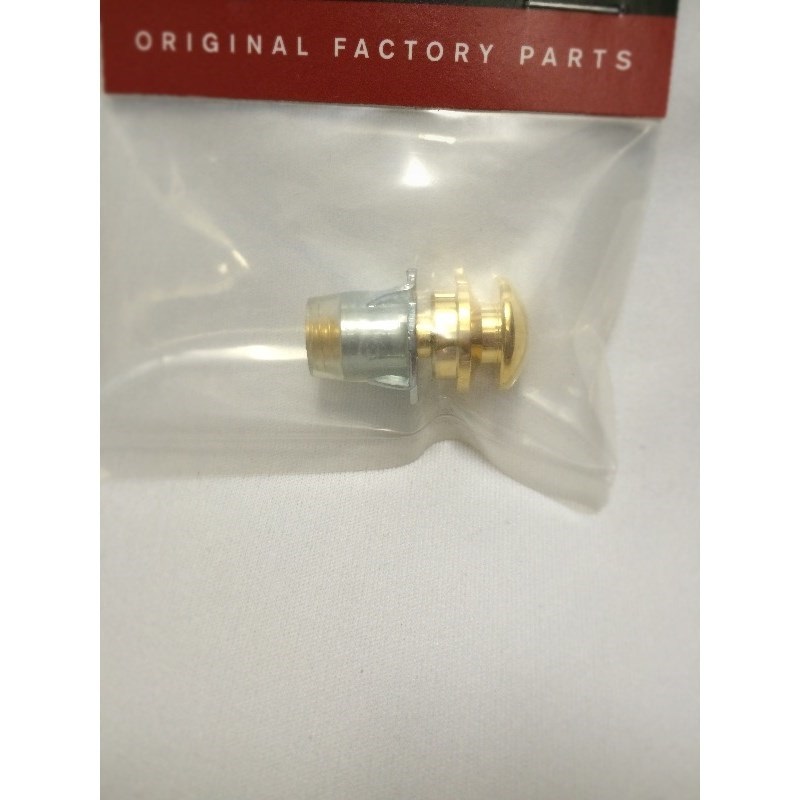 TAYLOR End Pin [テイラーギター用エンドピン][Gold] 画像1
