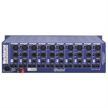 Radial Workhorse Powerhouse【お取り寄せ商品】 画像3