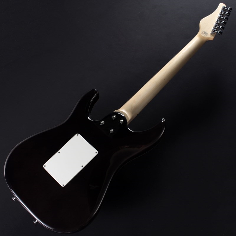 SCHECTER SD-2-24-AL (See-Thru Pink/Maple) 画像5