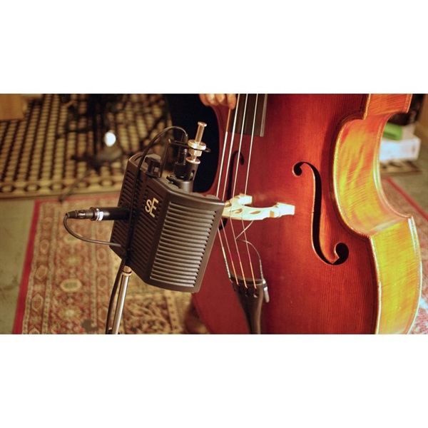 sE Electronics guitaRF（ギターエフ） (お取り寄せ商品・納期別途ご連絡) 画像7
