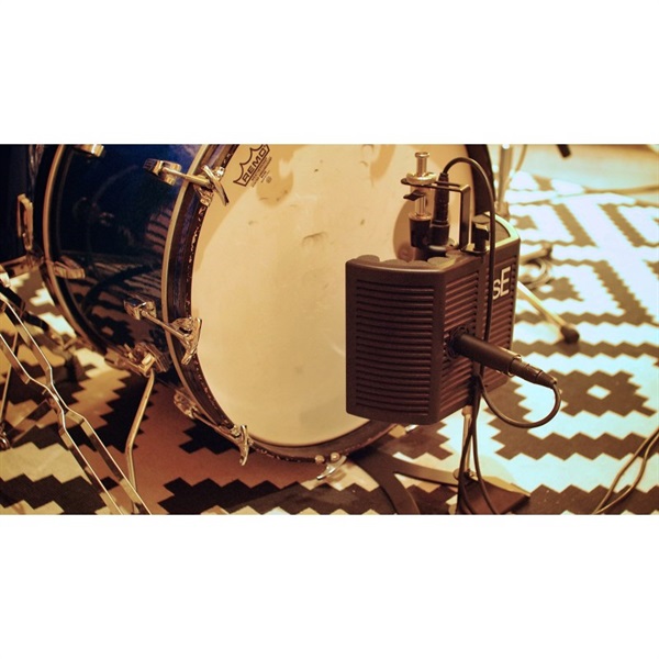 sE Electronics guitaRF（ギターエフ） (お取り寄せ商品・納期別途ご連絡) 画像8