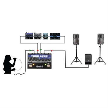 Radial VOCO-LOCO【お取り寄せ商品】 画像4