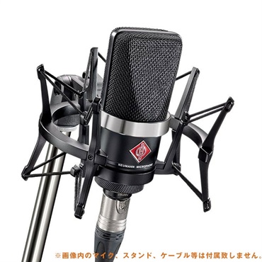 NEUMANN EA4 BK(ノイマン) 画像1