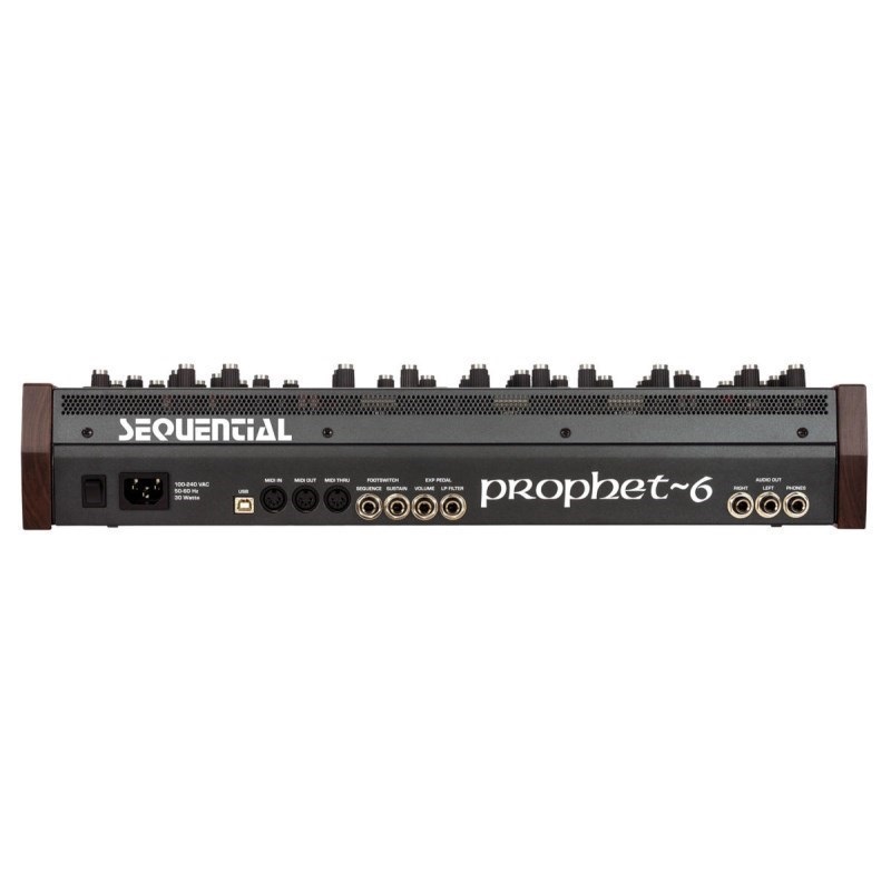 DAVE SMITH INSTRUMENTS Prophet-6 Module【お取り寄せ商品】 画像5