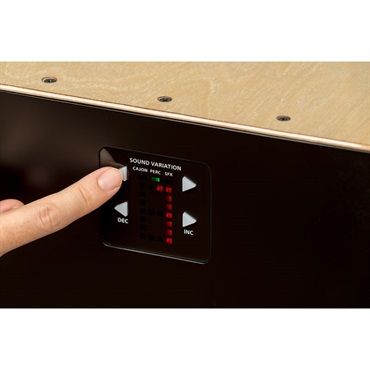 Roland EC-10 【Electronic Layered Cajon】 ｜イケベ楽器店