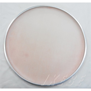 ASPR TE-01C14 PINK [SL HEAD / ピンク・コーティング有り 14] 【カラーヘッド！】 画像2