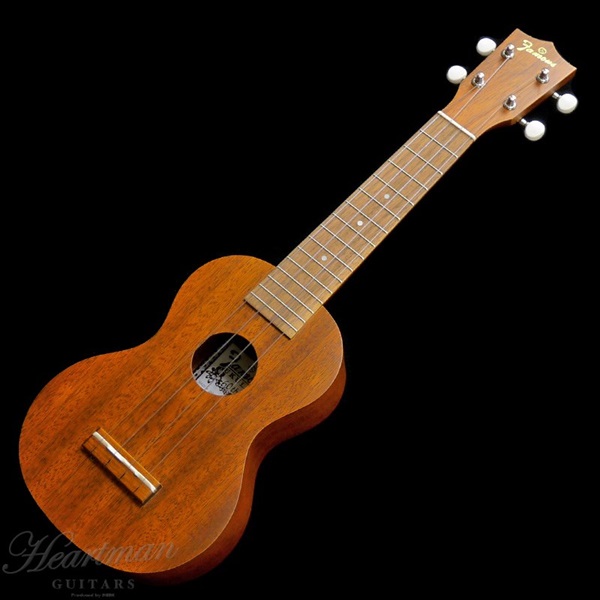 Famous 【数量限定特価】【春得フェア】【今なら純正弦1セットサービス！】FS-1G 【初心者セット】 フェイマス 画像1