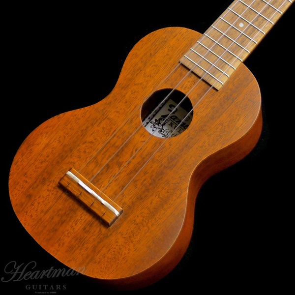 Famous 【数量限定特価】【春得フェア】【今なら純正弦1セットサービス！】FS-1G 【初心者セット】 フェイマス 画像3