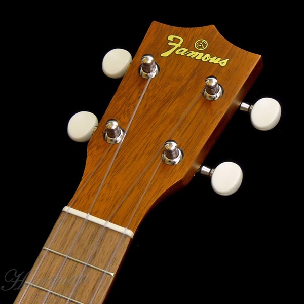 Famous 【数量限定特価】【春得フェア】【今なら純正弦1セットサービス！】FS-1G 【初心者セット】 フェイマス 画像5