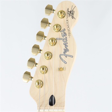 Fender (Japan Exclusive Series) Richie Kotzen Telecaster (Brown