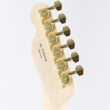 Fender (Japan Exclusive Series) Richie Kotzen Telecaster (Brown