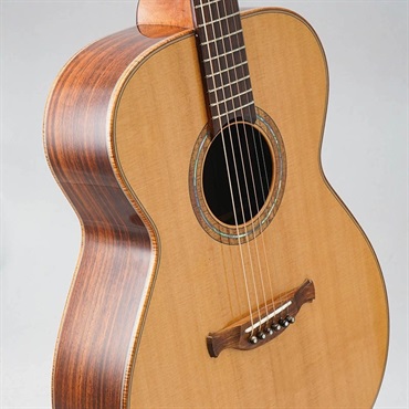 Jack Spira Guitars 【緊急値下げ！！】JS-000 [Made in Australia] 画像7