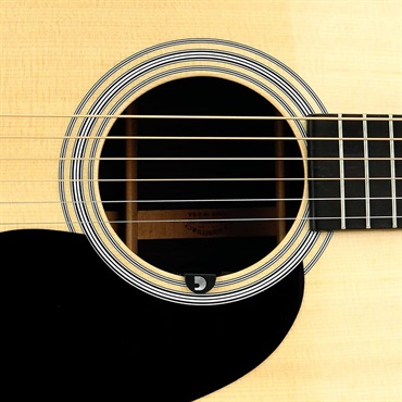 PLANET WAVES PW-CT-15 [NS Micro Soundhole Tuner] 画像2