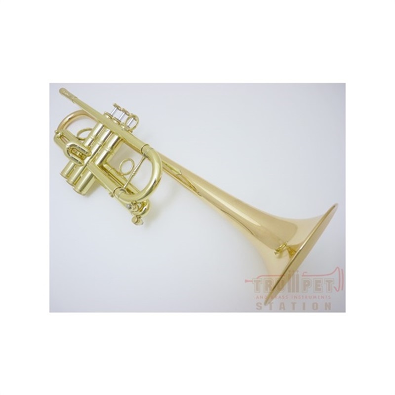 CAROL BRASS キャロルブラス / N4000 GB 【C トランペット 】【調整後出荷】 画像1