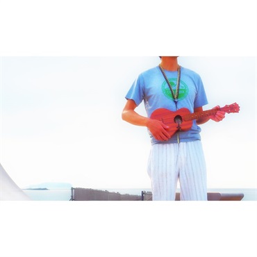 Daiking Corporation Hawaiian Ribbon Lei Ukulele Strap [DHRUS-9DOGO][9mm：ゴールド] 画像1