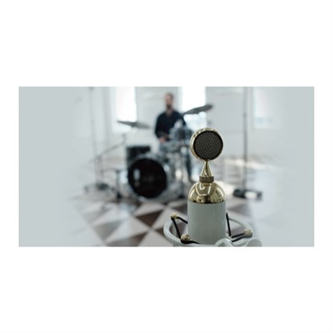 Soyuz 017 TUBE（真空管マイク）(予約商品・納期別途ご案内) 画像4