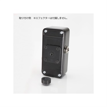 Temple Audio Design TQR-S ｜イケベ楽器店オンラインストア