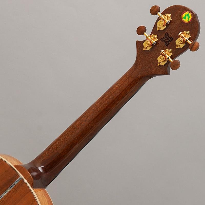 BIG ISLAND KX-TRG KX Koa Tenor ビッグアイランド 画像9