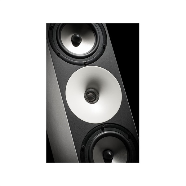 Amphion Two15 【ペア】【受注製品・納期1ヶ月程】※パッシブ