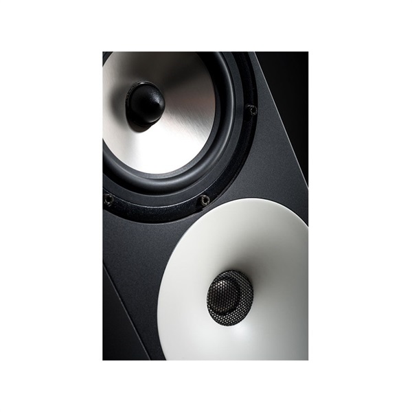 Amphion Two15 【ペア】【受注製品・納期1ヶ月程】※パッシブ