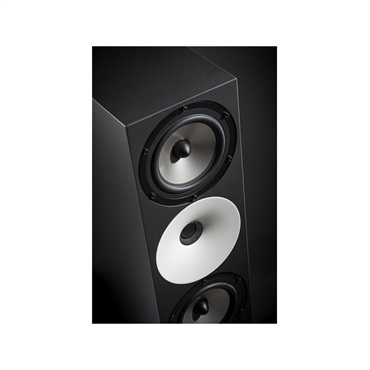 Amphion Two15 【ペア】【受注製品・納期2ヶ月程】※パッシブ・スピーカー 画像4